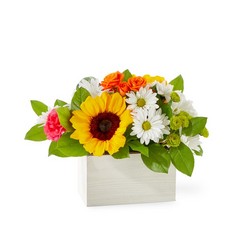 Sun-drenched Blooms Bouquet from Pennycrest Floral in Archbold, OH